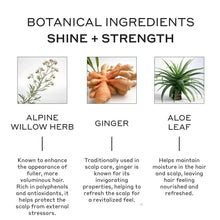 Load image into Gallery viewer, Evolve Nourishing Repair Conditioner