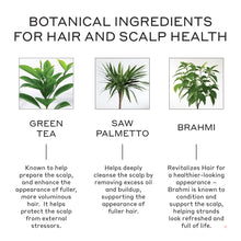 Load image into Gallery viewer, Revolve Thickening Shampoo for Men