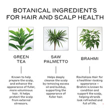 Charger l'image dans la galerie, Revolve Thickening Shampoo for Women